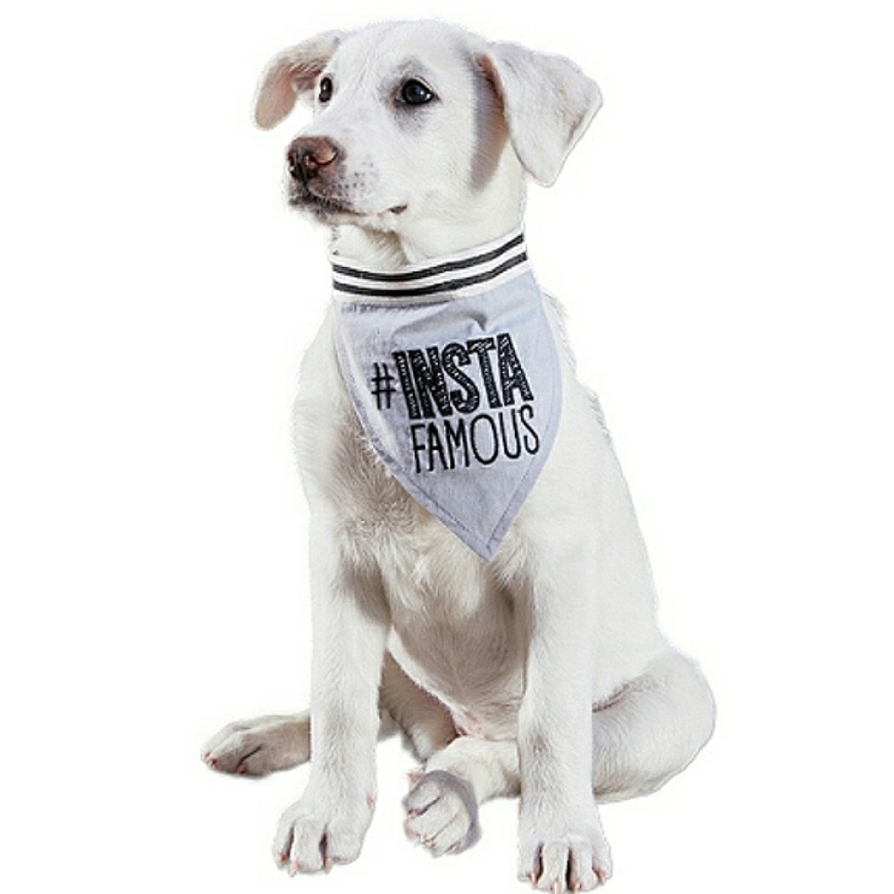 SBDS Embroidered #InstaFamous Striped Ribbon Pet Bandana Gray, Black, White NWT